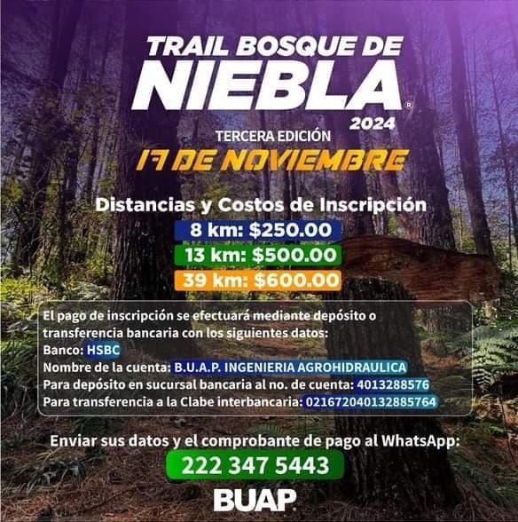 photo_2024-11-12_11-06-15