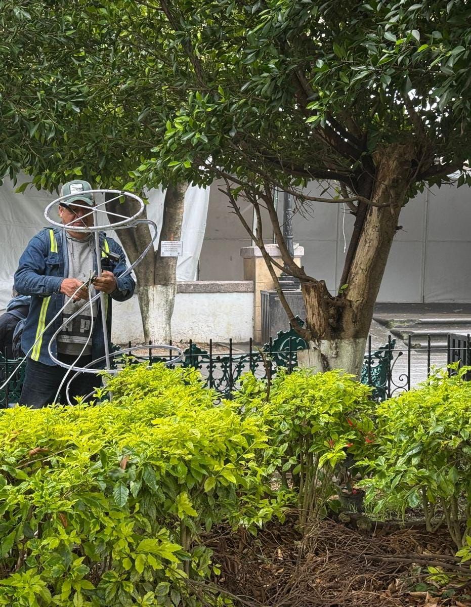 WhatsApp Image 2025-01-08 at 16.02.20