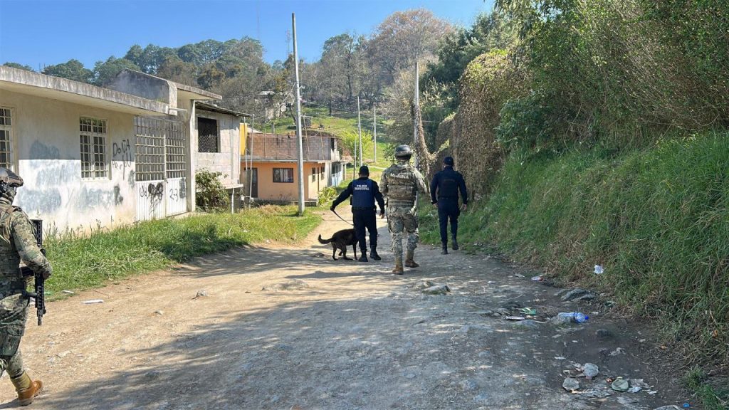 photo_2025-01-29_10-43-13