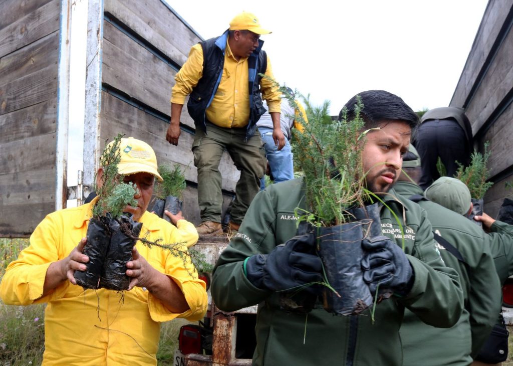 WhatsApp Image 2025-10-29 at 9.13.46 AM (2)