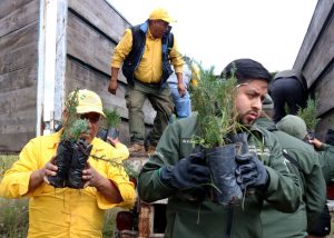 WhatsApp Image 2025-10-29 at 9.13.46 AM (2)