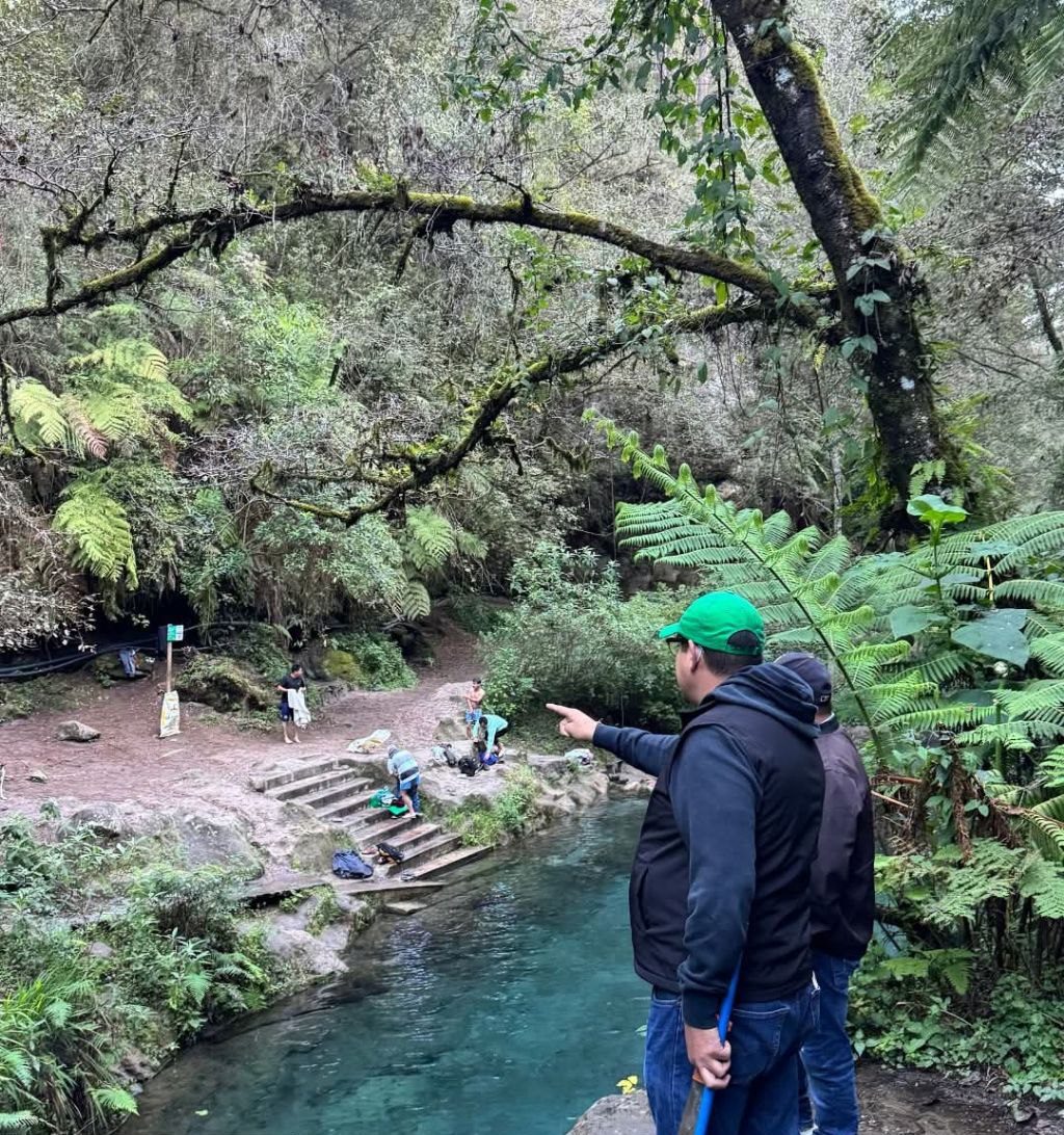 photo_2025-12-28_19-15-45