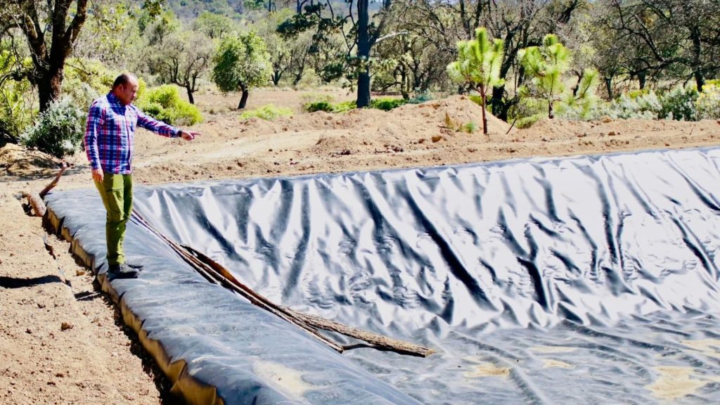 e7b30d56-3468-4af8-92ae-c63c62f6a831