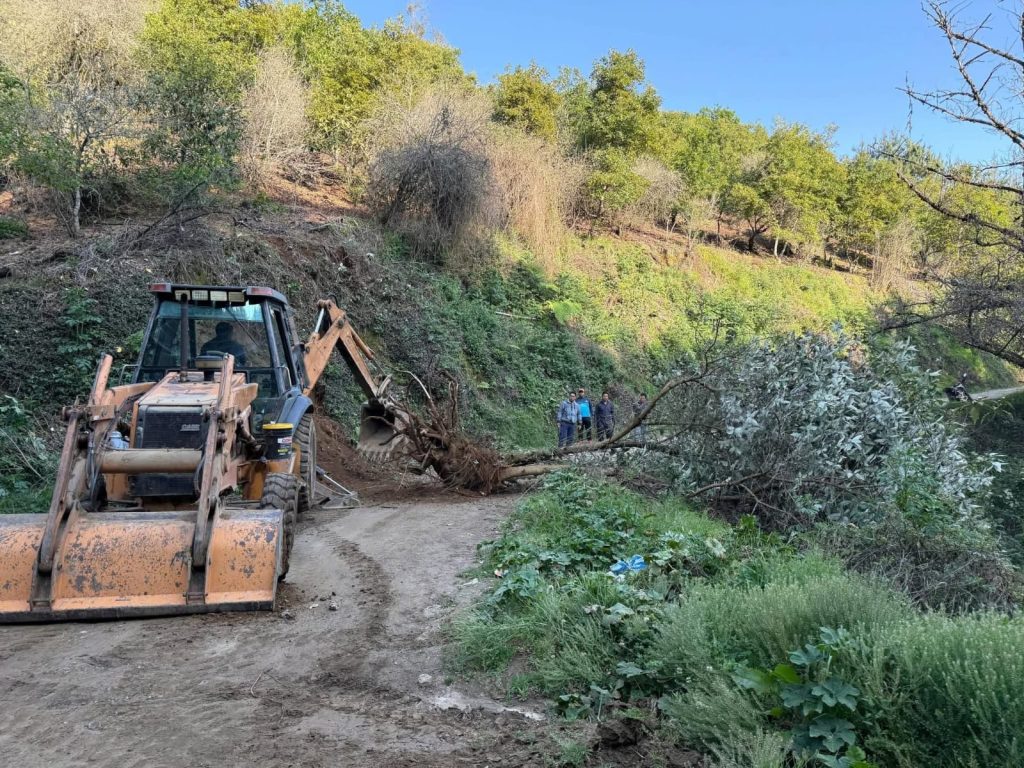 2f34e806-0f20-4d9b-a473-14192130eab3