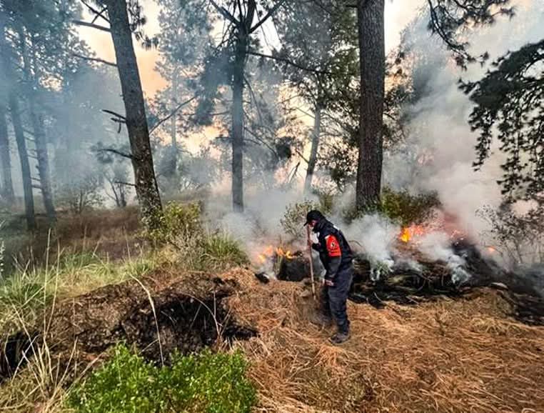 f946fa24-655b-43ef-b7b5-ef9cd673aaa8