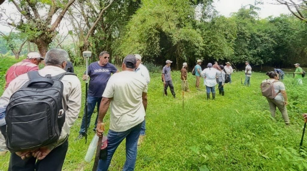 7a67ee01-c4fc-4df1-bbb5-262b94bc169d